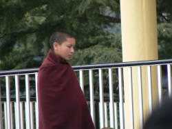 Un jeune moine dans le temple du Dalaï-Lama