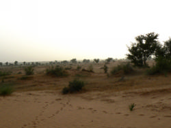 Coucher de soleil sur une dune de sable prs de Gorom